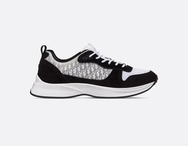 Dior B22 Oblique Print