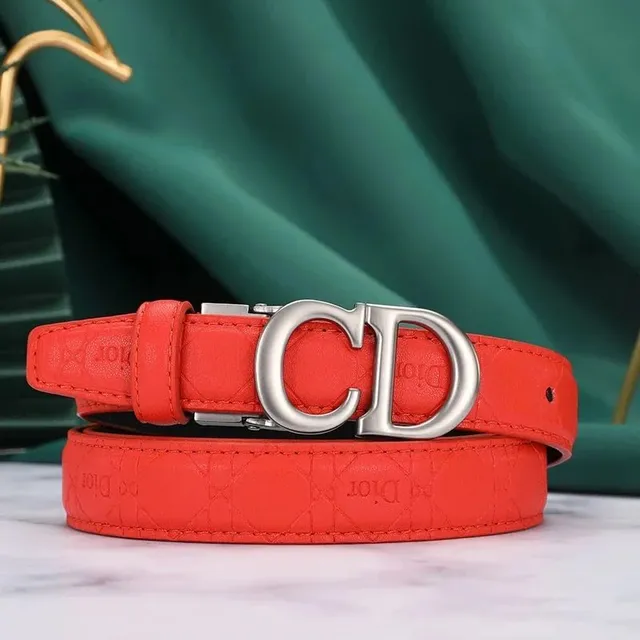 Dior CD Belt Embossed Logo