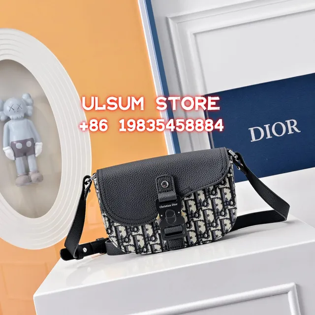 Dior handbags Oblique Print