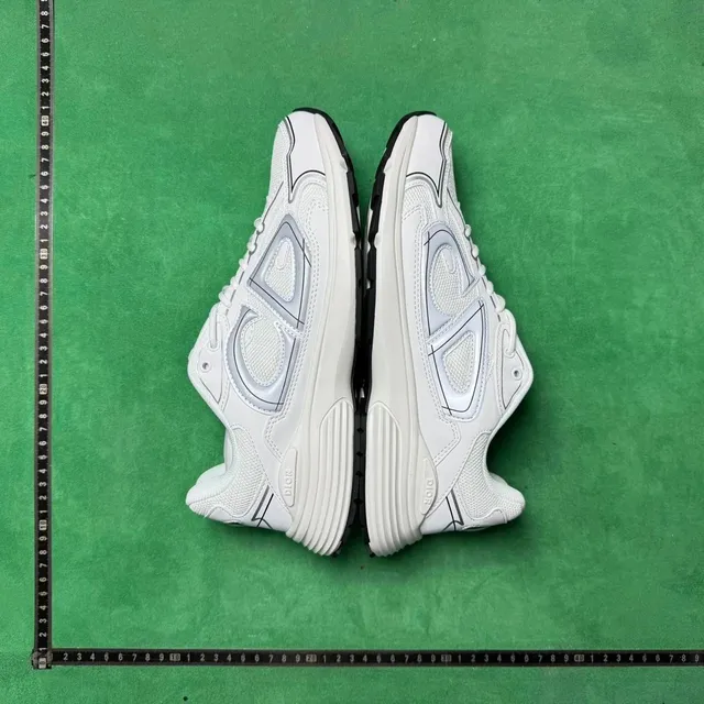 Dior B22 White Grey Black
