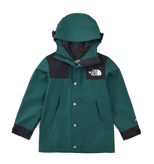 The North Face Nuptse Jacket Mountain Light Green