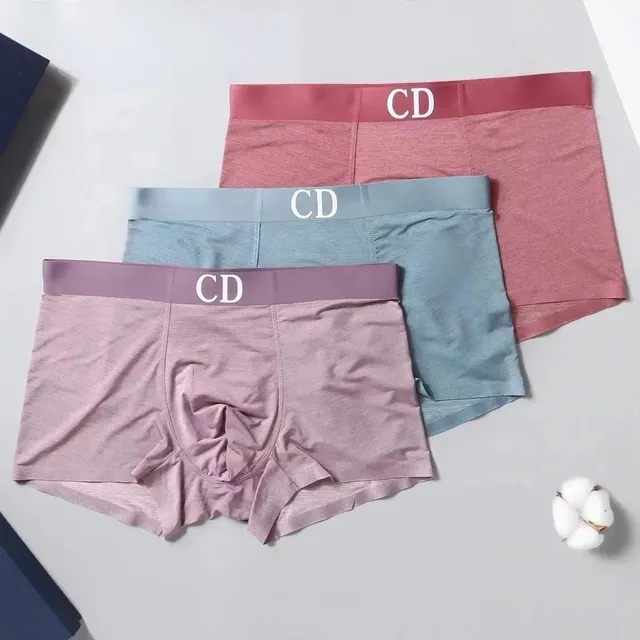Dior Boxer Briefs CD Logo Waistband