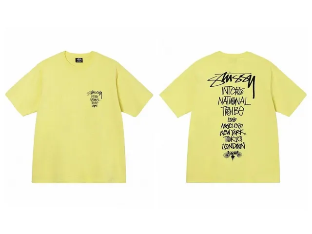 Stüssy t shirts