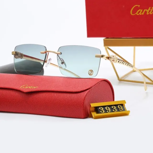 Cartier Sunglasses Panthère Temple Detail