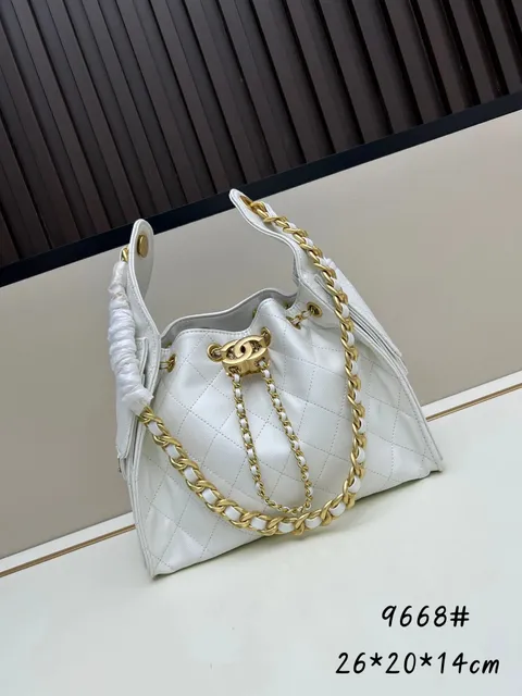 Chanel 255 Reissue