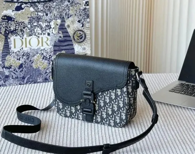 Dior handbags Oblique Print