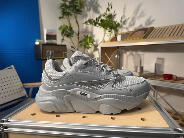 Dior B22 Monochrome Grey