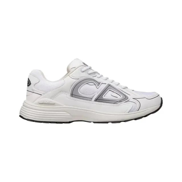 Dior B22 White Grey