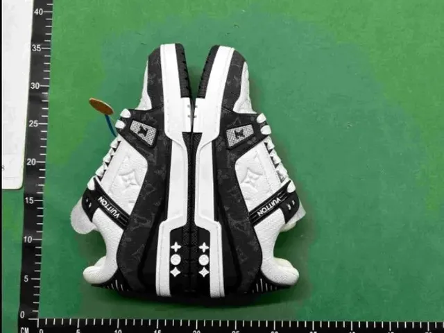 Louis Vuitton LV Trainer Monogram