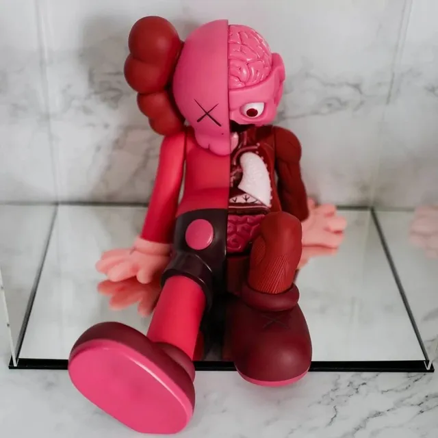 红色盒装23cm-坐姿解剖