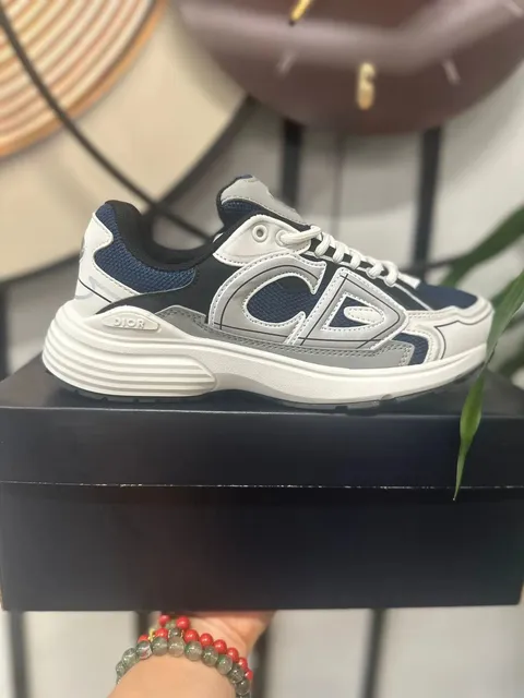 Dior B22 Navy and Grey