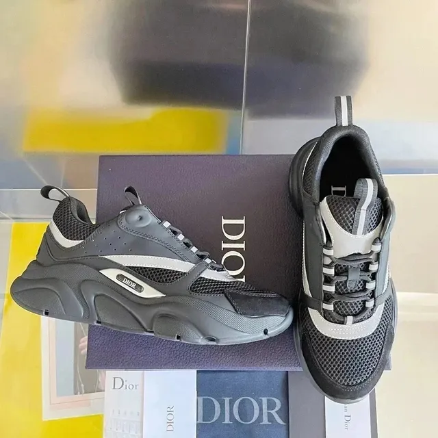 Dior B22 Sneaker