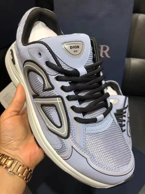 Dior B30 Silver Mesh