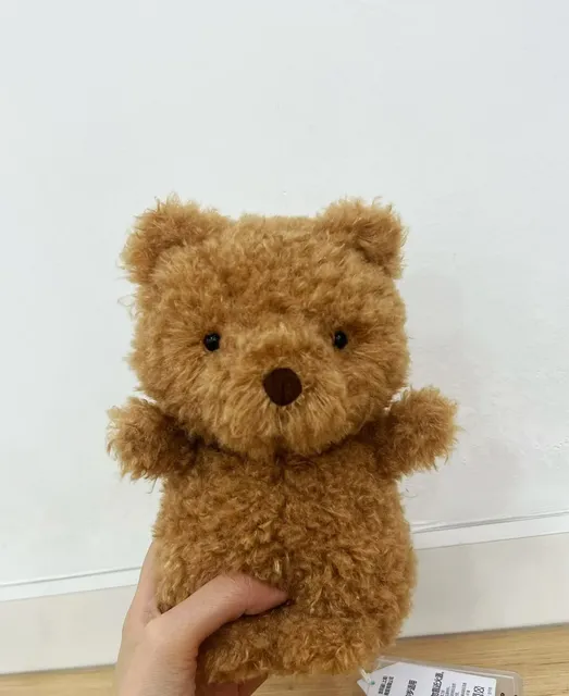 Curly brown bear
