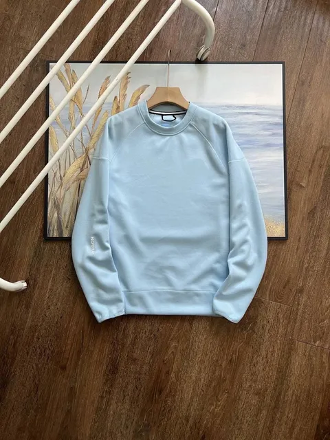 浅蓝卫衣