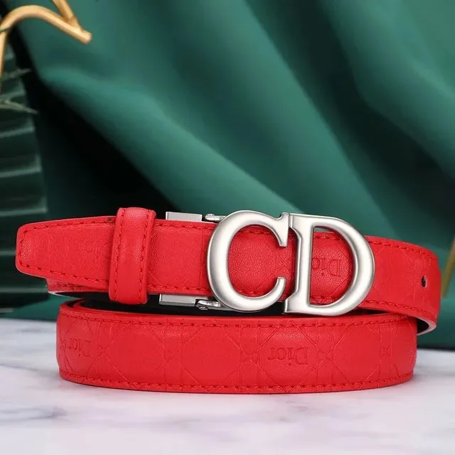 Dior CD Belt Embossed Logo
