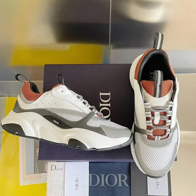 Dior B22
