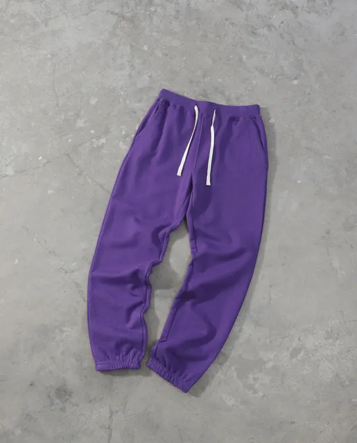 Polo Ralph Lauren Jogger Solid Purple