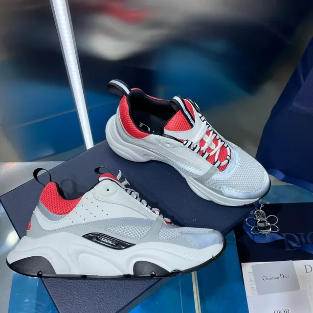 Dior sneakers