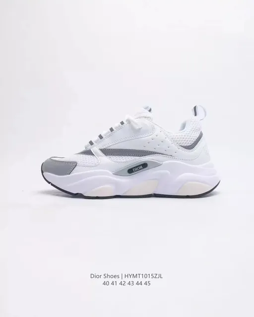 Dior B22 White Grey