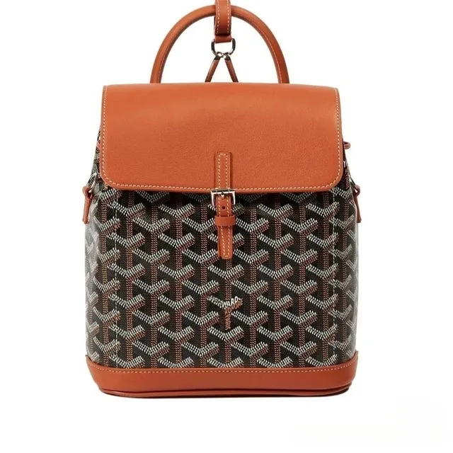 Goyard Saint Louis Backpack Goyardine Canvas