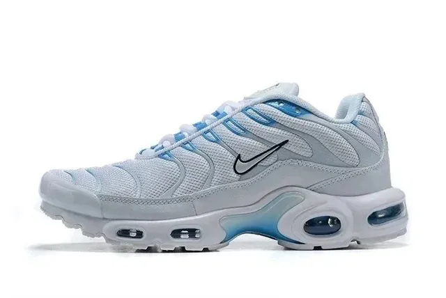 Nike Air Max Plus White/Blue