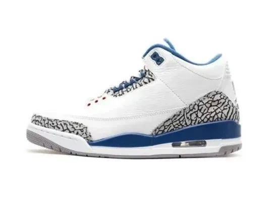 Air Jordan 3 True Blue