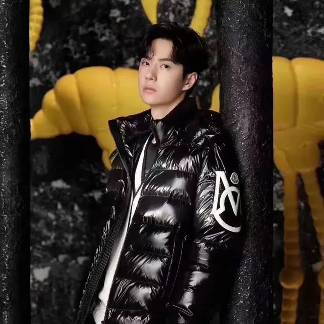 Moncler Puffer Jacket Glossy Logo Sleeve