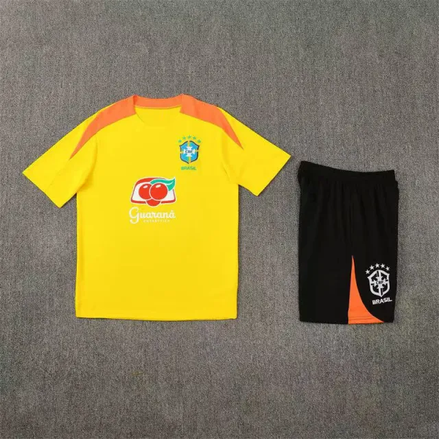 2526巴西黄色