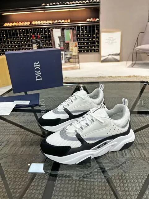 Dior B22 White Black Grey