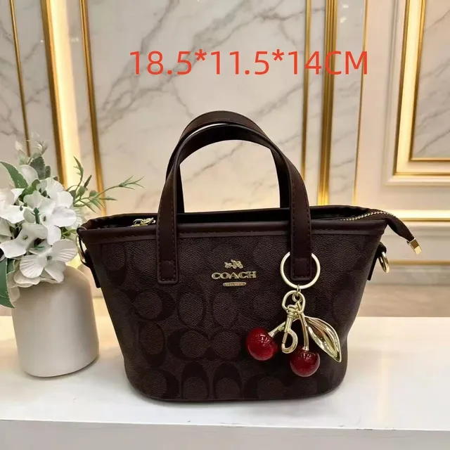 Coach Mini Carryall Signature Canvas with Cherry Charm