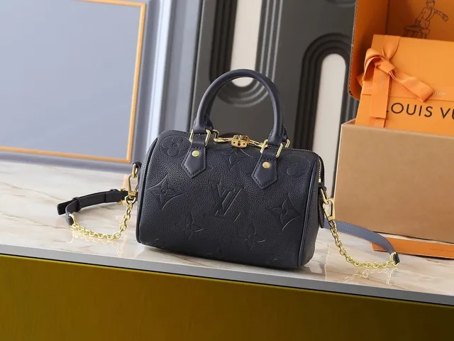 Louis Vuitton Speedy 20