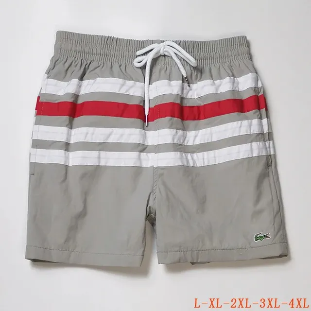 Lacoste Swim Shorts