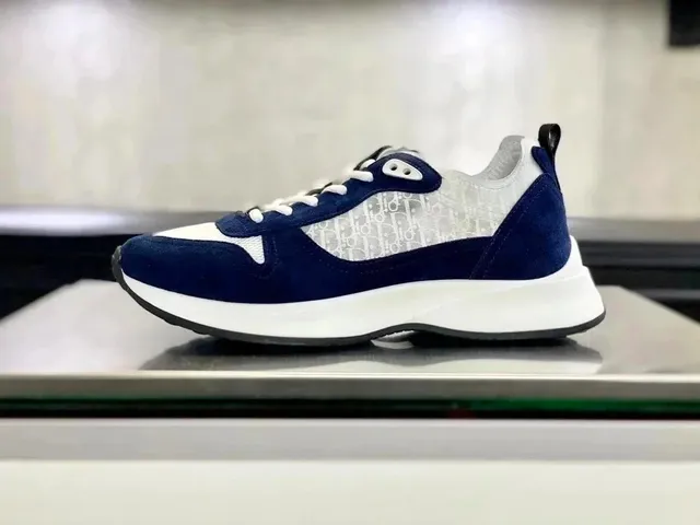 Dior B22 Oblique Print Navy/White