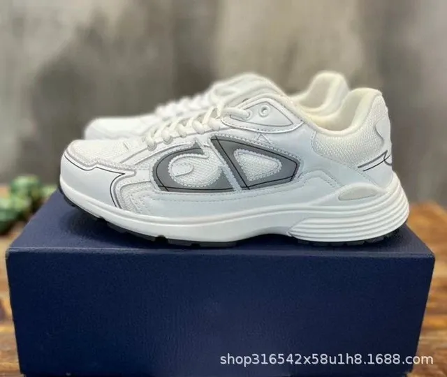 Dior B22 White Grey