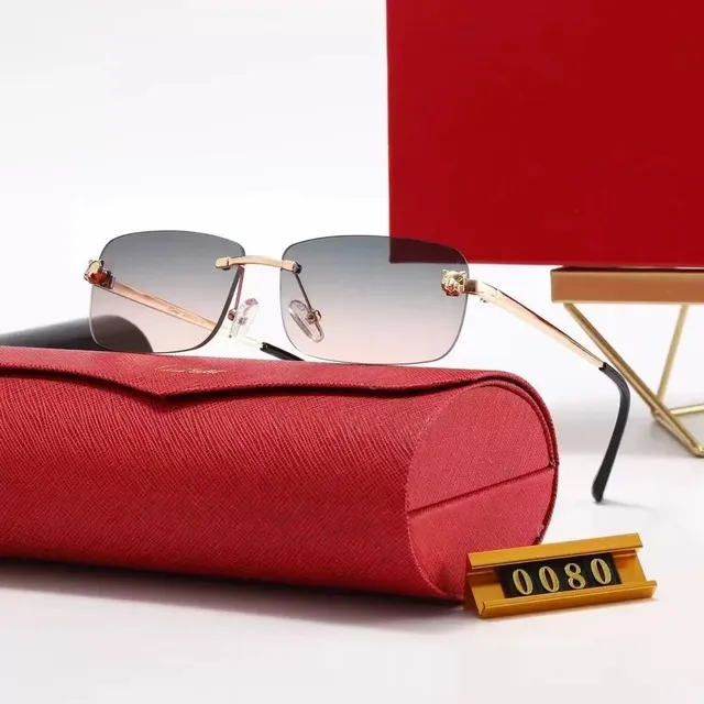 Cartier Sunglasses Panther Temple Detail