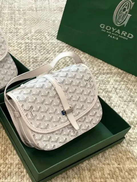 Goyard Saint Louis Chevron Canvas
