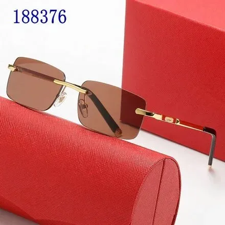 Santos De Cartier Rectangular Rimless