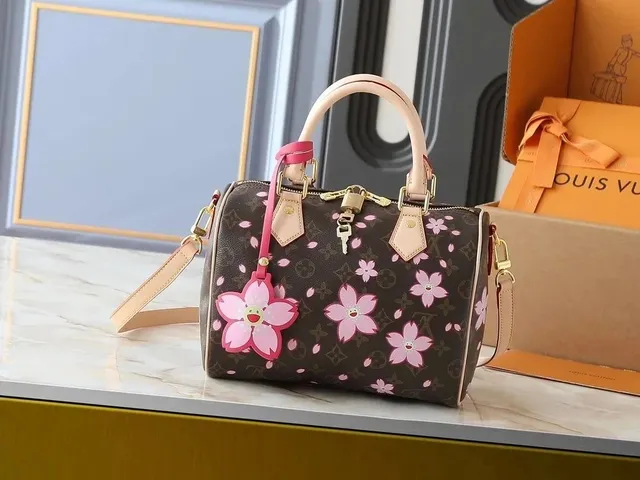 Louis Vuitton Speedy Cherry Blossom KAWS