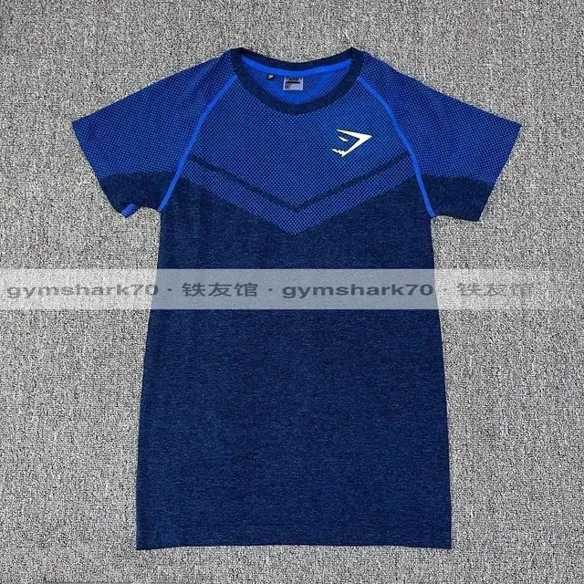 Gymshark Performance T-Shirt Gradient Mesh Panel