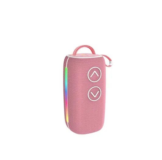 JBL Portable Speaker Rainbow LED