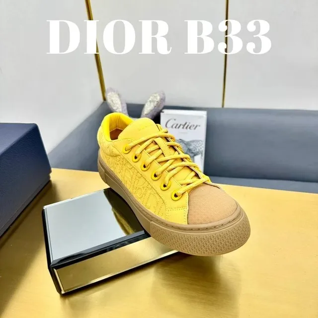 Dior B33