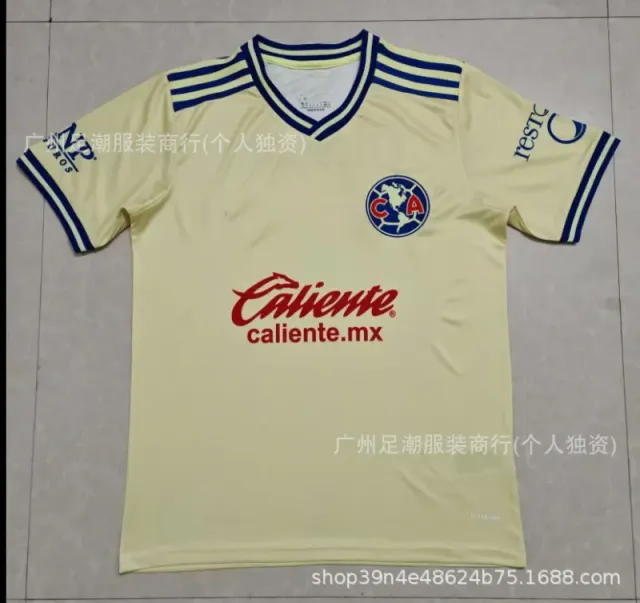 2627美洲主场