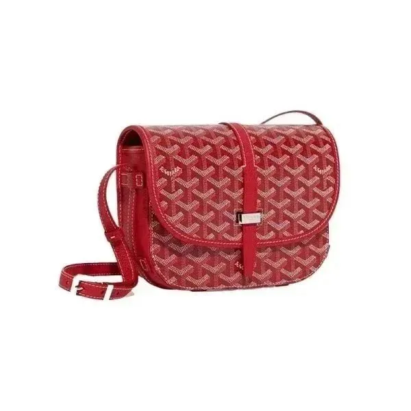 Goyard Saint Louis Monogram Canvas