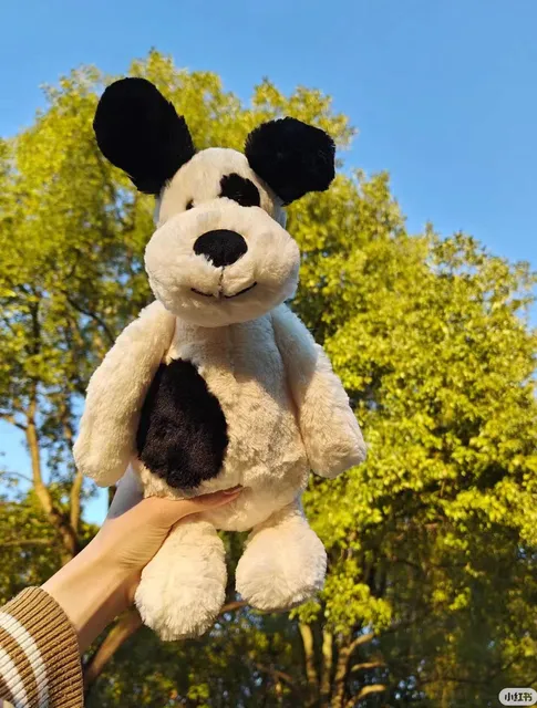 51cm Pirate Dog