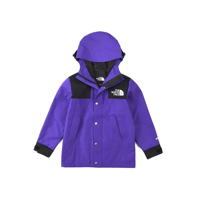 The North Face Mountain Light Jacket Purple/Black