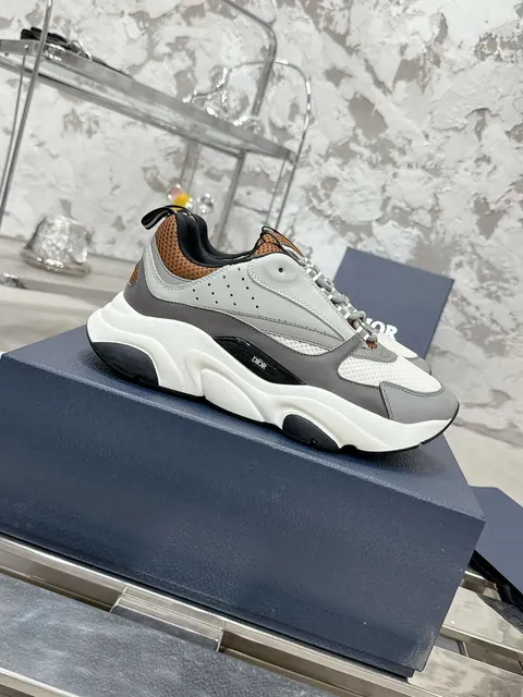 Dior B22 Grey Brown White