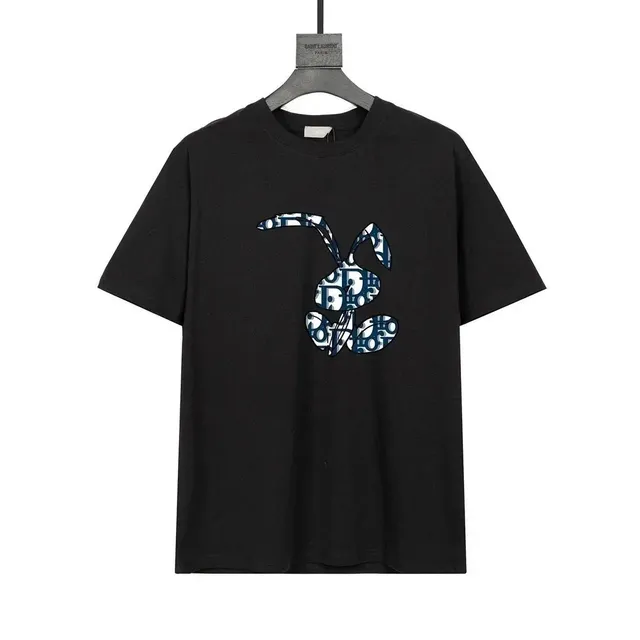 Dior Rabbit Graphic T-Shirt Oblique Logo Print