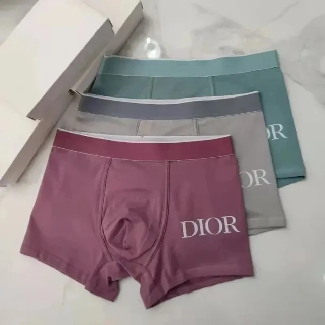 Dior Boxer Briefs Logo Print