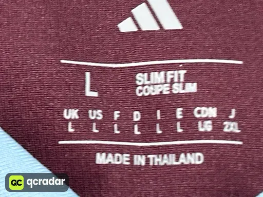 25-26阿斯顿维拉主场